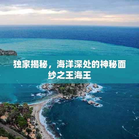 独家揭秘，海洋深处的神秘面纱之王海王