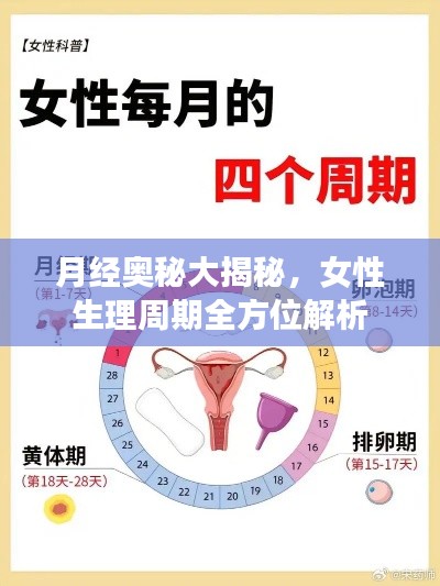 战天斗地 第5页