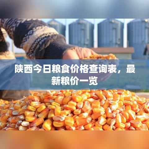 陕西今日粮食价格查询表，最新粮价一览