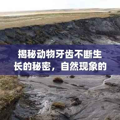 天南地北 第4页