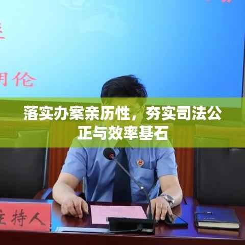 落实办案亲历性，夯实司法公正与效率基石