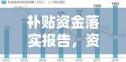 补贴资金落实报告，资金流动与监管的全方位解析