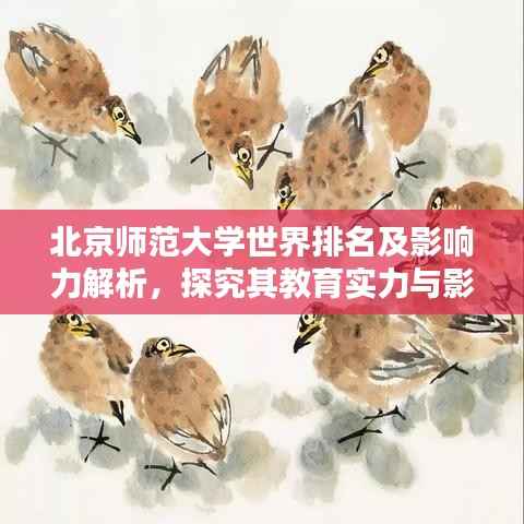 北京师范大学世界排名及影响力解析，探究其教育实力与影响力之巅