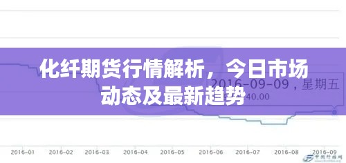 化纤期货行情解析，今日市场动态及最新趋势