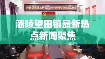 飞燕化龙 第3页