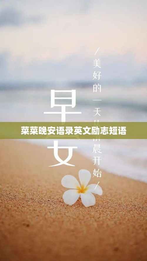 菜菜晚安语录英文励志短语