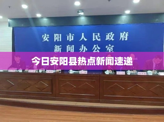 今日安阳县热点新闻速递