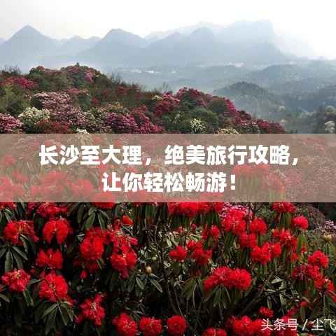 长沙至大理，绝美旅行攻略，让你轻松畅游！