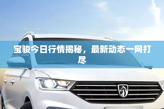 宝骏今日行情揭秘，最新动态一网打尽