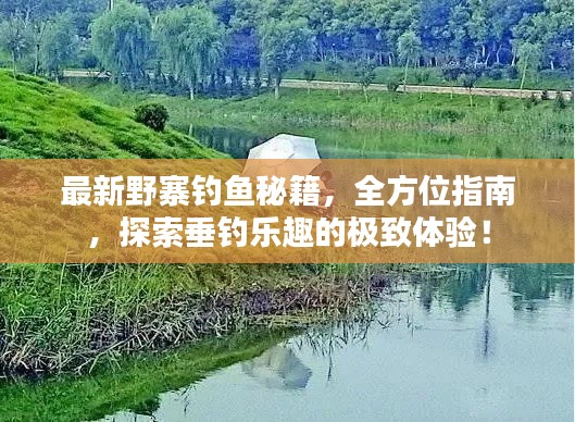 最新野寨钓鱼秘籍，全方位指南，探索垂钓乐趣的极致体验！