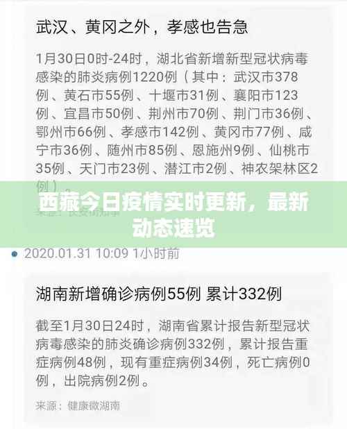 西藏今日疫情实时更新，最新动态速览