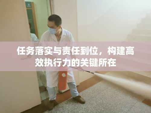 任务落实与责任到位，构建高效执行力的关键所在