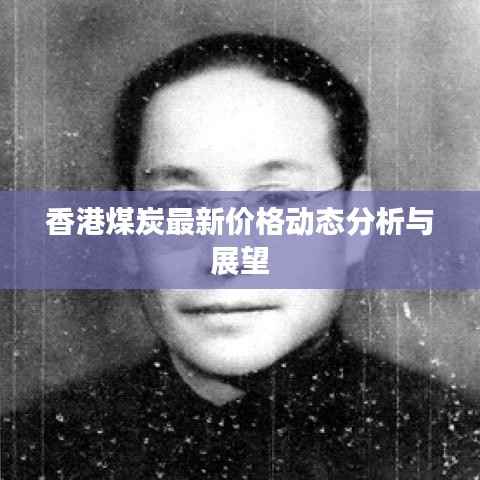 香港煤炭最新价格动态分析与展望