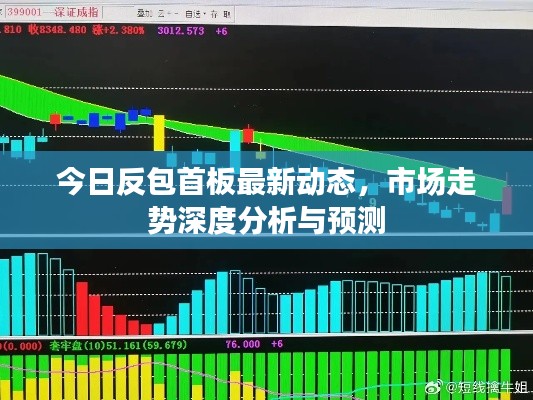 今日反包首板最新动态，市场走势深度分析与预测