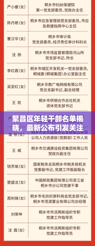 繁昌区年轻干部名单揭晓，最新公布引发关注