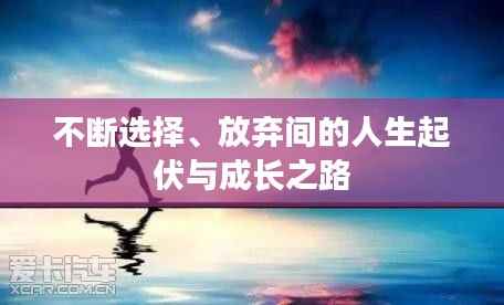 不断选择、放弃间的人生起伏与成长之路