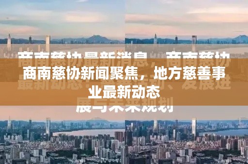 商南慈协新闻聚焦，地方慈善事业最新动态