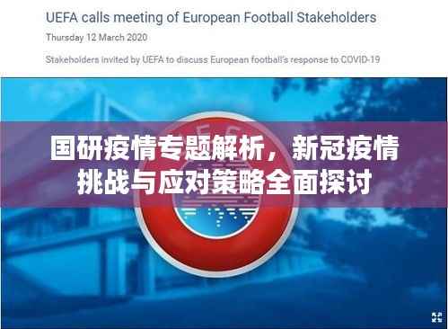 国研疫情专题解析，新冠疫情挑战与应对策略全面探讨