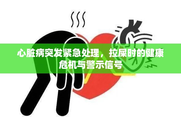 心脏病突发紧急处理，拉屎时的健康危机与警示信号