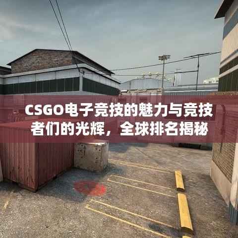 CSGO电子竞技的魅力与竞技者们的光辉，全球排名揭秘
