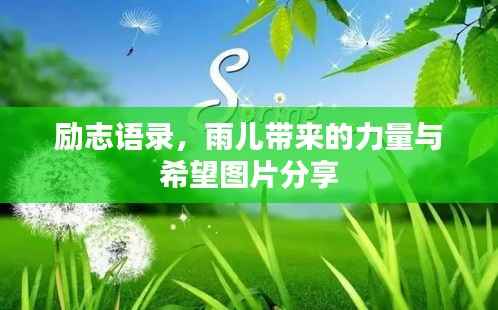 励志语录，雨儿带来的力量与希望图片分享
