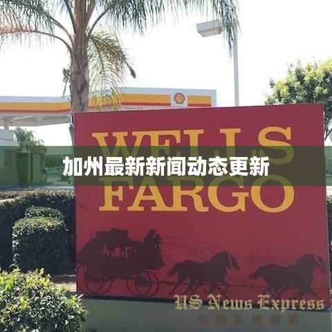 加州最新新闻动态更新