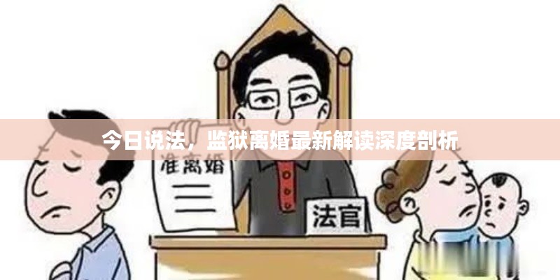 今日说法，监狱离婚最新解读深度剖析