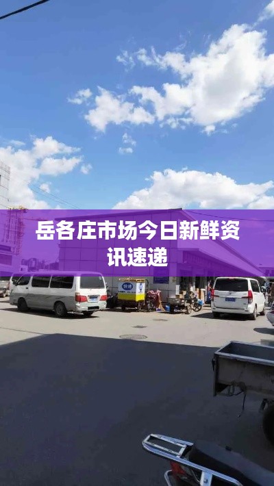 岳各庄市场今日新鲜资讯速递
