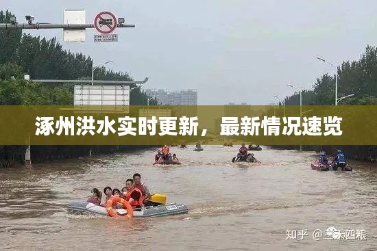 博古通今 第4页