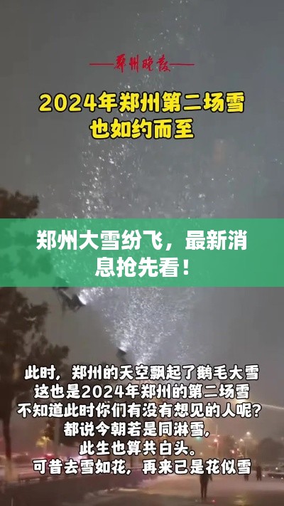 郑州大雪纷飞，最新消息抢先看！