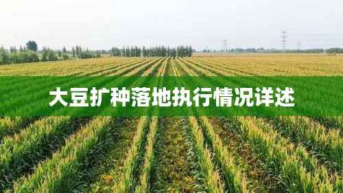 不知所云 第4页