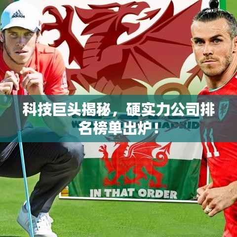 铺张扬厉 第4页