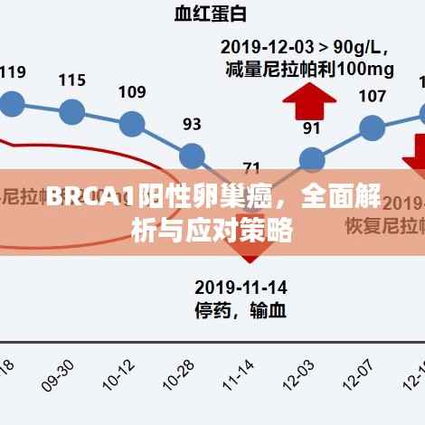 BRCA1阳性卵巢癌，全面解析与应对策略