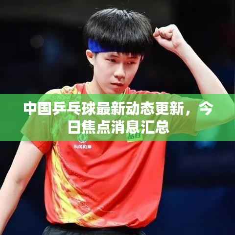 中国乒乓球最新动态更新，今日焦点消息汇总