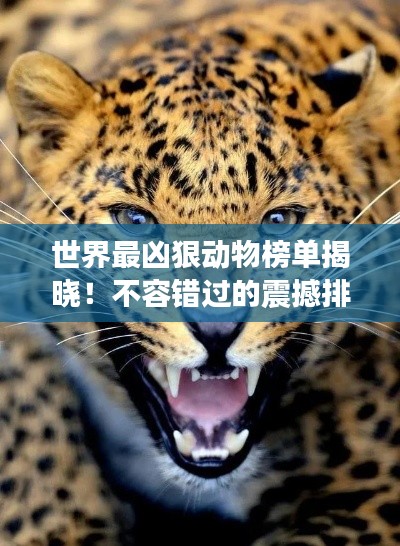 世界最凶狠动物榜单揭晓！不容错过的震撼排名