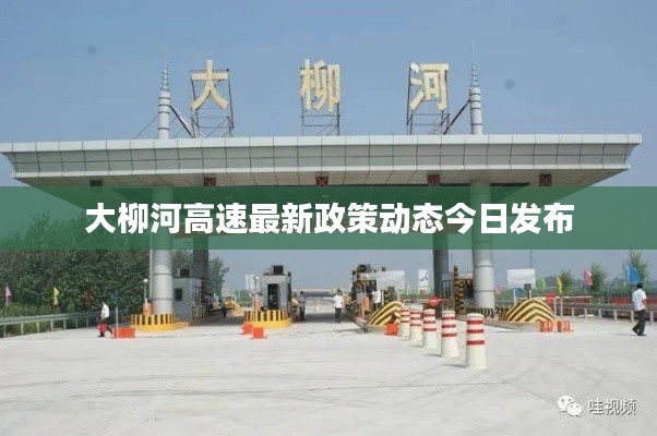 大柳河高速最新政策动态今日发布