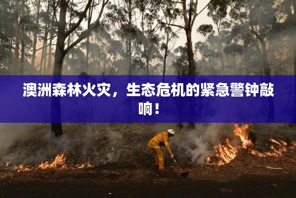 澳洲森林火灾，生态危机的紧急警钟敲响！