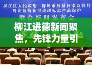 柳江进德新闻聚焦，先锋力量引领地方发展之路