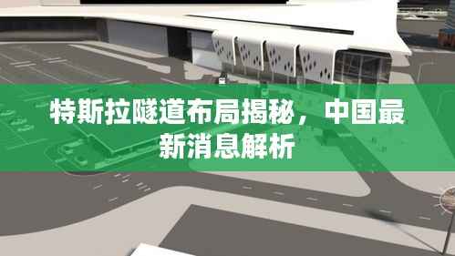 鸟飞兔走 第4页