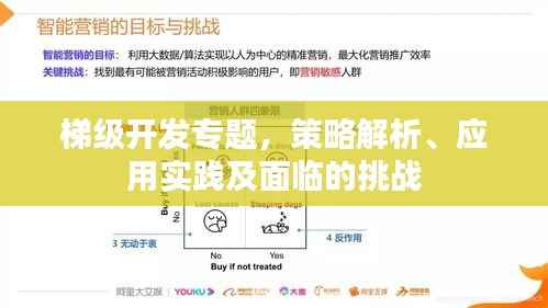 梯级开发专题，策略解析、应用实践及面临的挑战