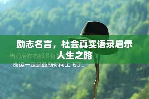 励志名言，社会真实语录启示人生之路