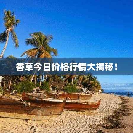 香草今日价格行情大揭秘！