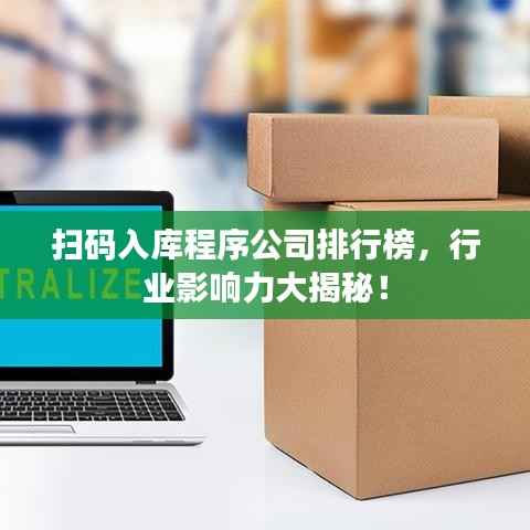 扫码入库程序公司排行榜，行业影响力大揭秘！