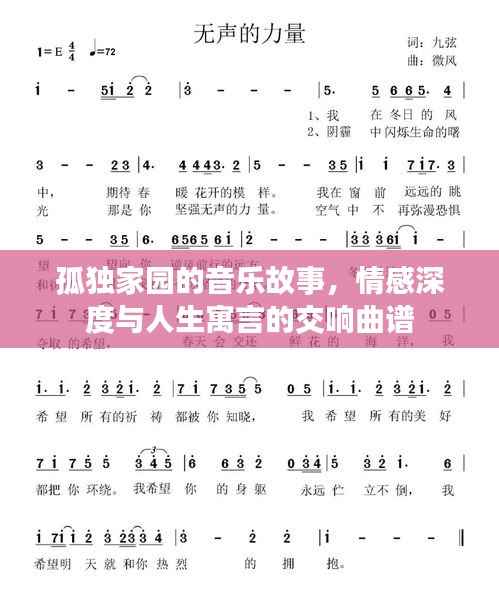 孤独家园的音乐故事，情感深度与人生寓言的交响曲谱