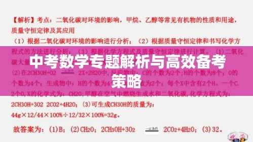 中考数学专题解析与高效备考策略