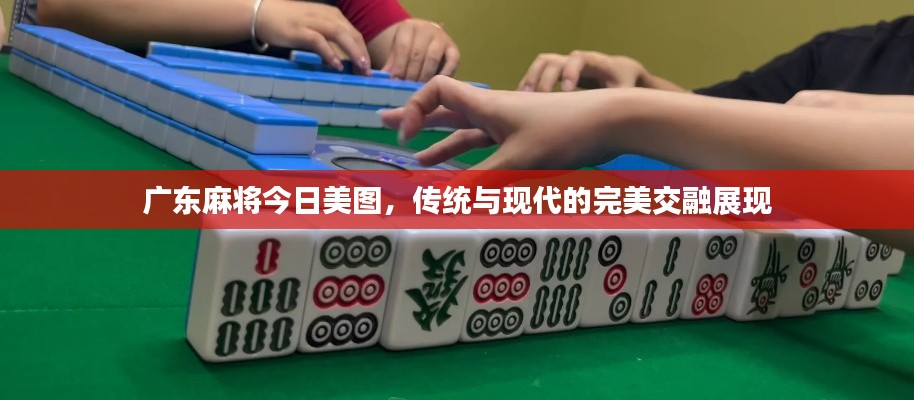 广东麻将今日美图，传统与现代的完美交融展现