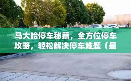 马大哈停车秘籍，全方位停车攻略，轻松解决停车难题（最新资讯）