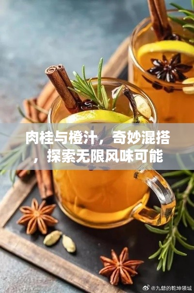 肉桂与橙汁，奇妙混搭，探索无限风味可能