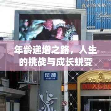 年龄递增之路，人生的挑战与成长蜕变