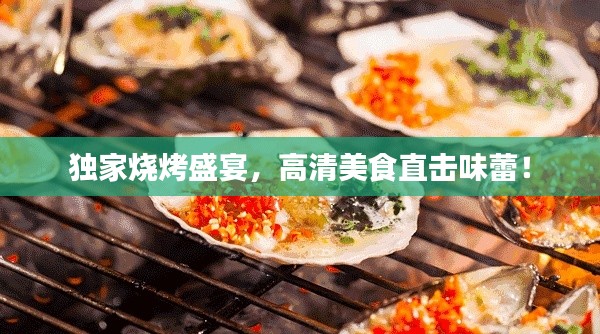 独家烧烤盛宴，高清美食直击味蕾！
